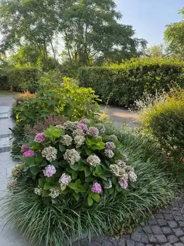 Casa indipendente in vendita a Parma
