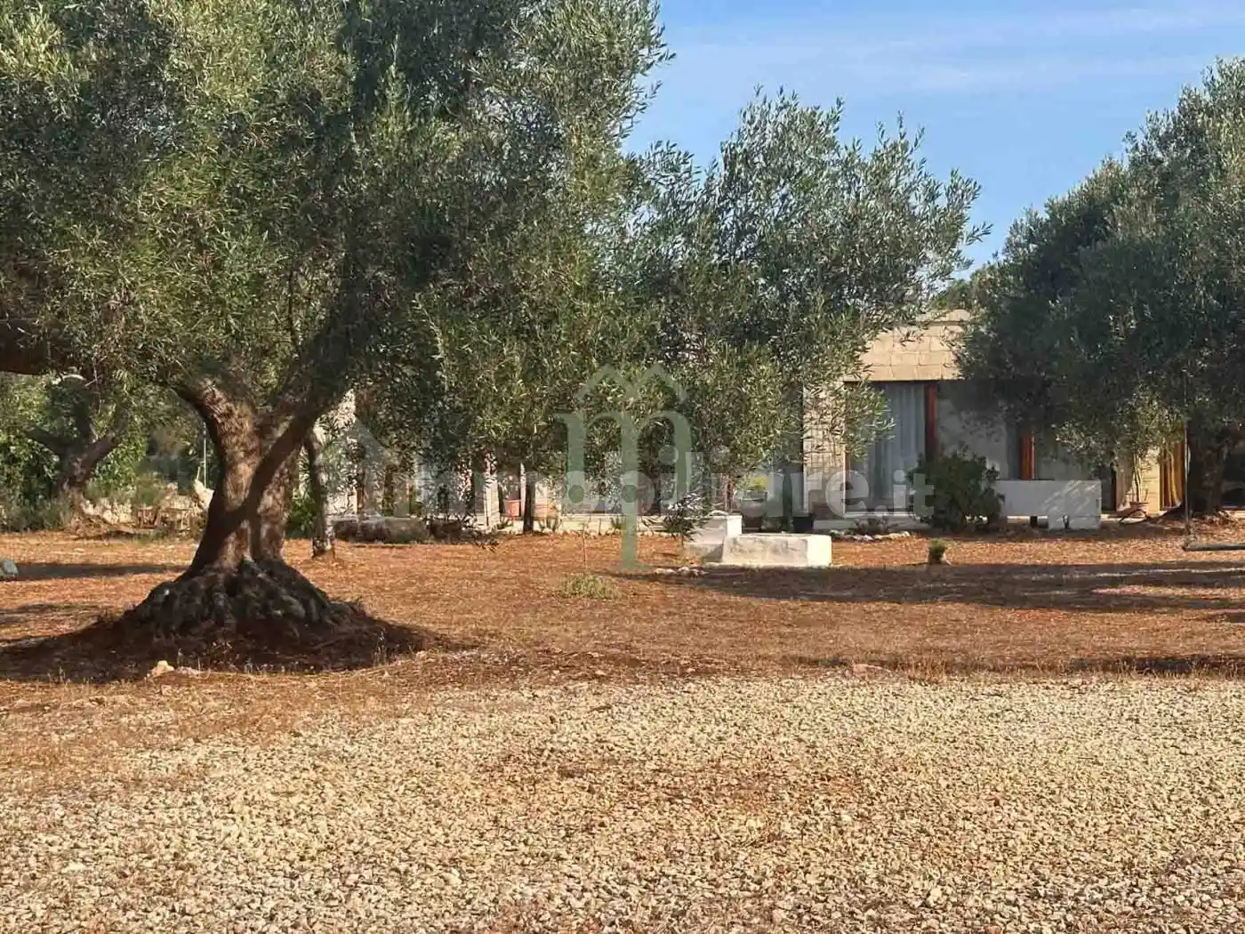 Villa in vendita a Carovigno
