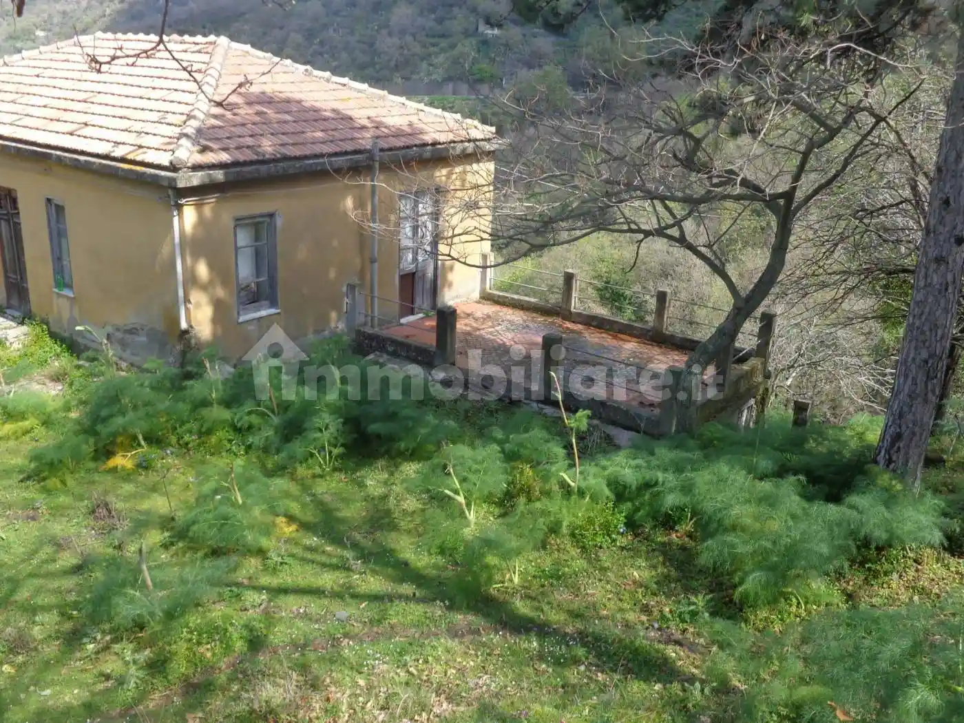 Rustico - Casale - foto 2