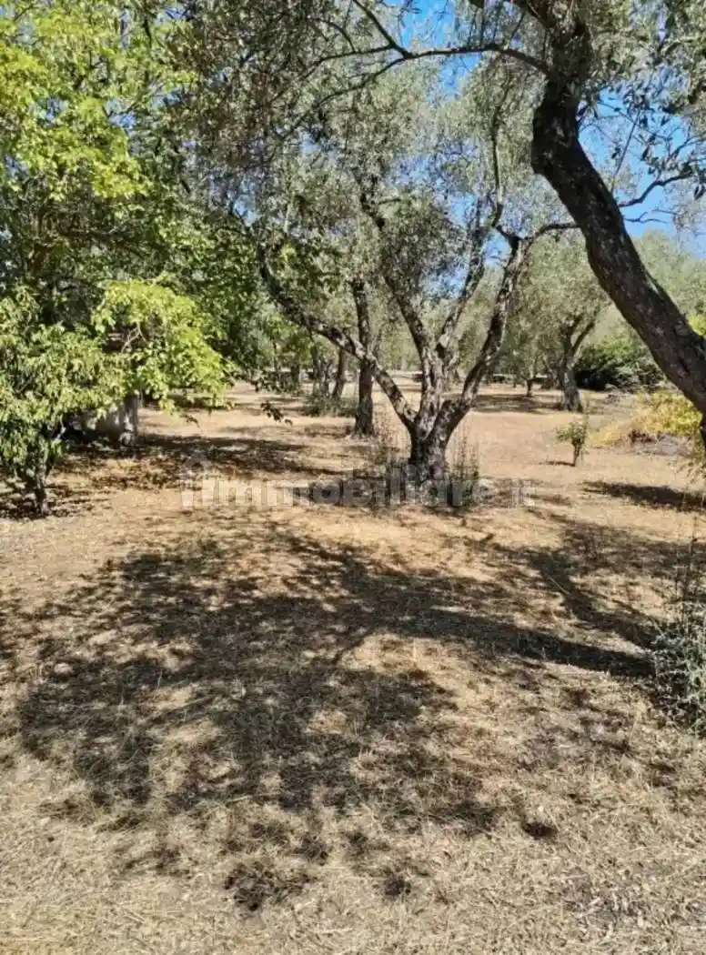 Terratetto unifamiliare Strada Vicinale Li Buttangari, Buddi Buddi, Sassari - foto 5