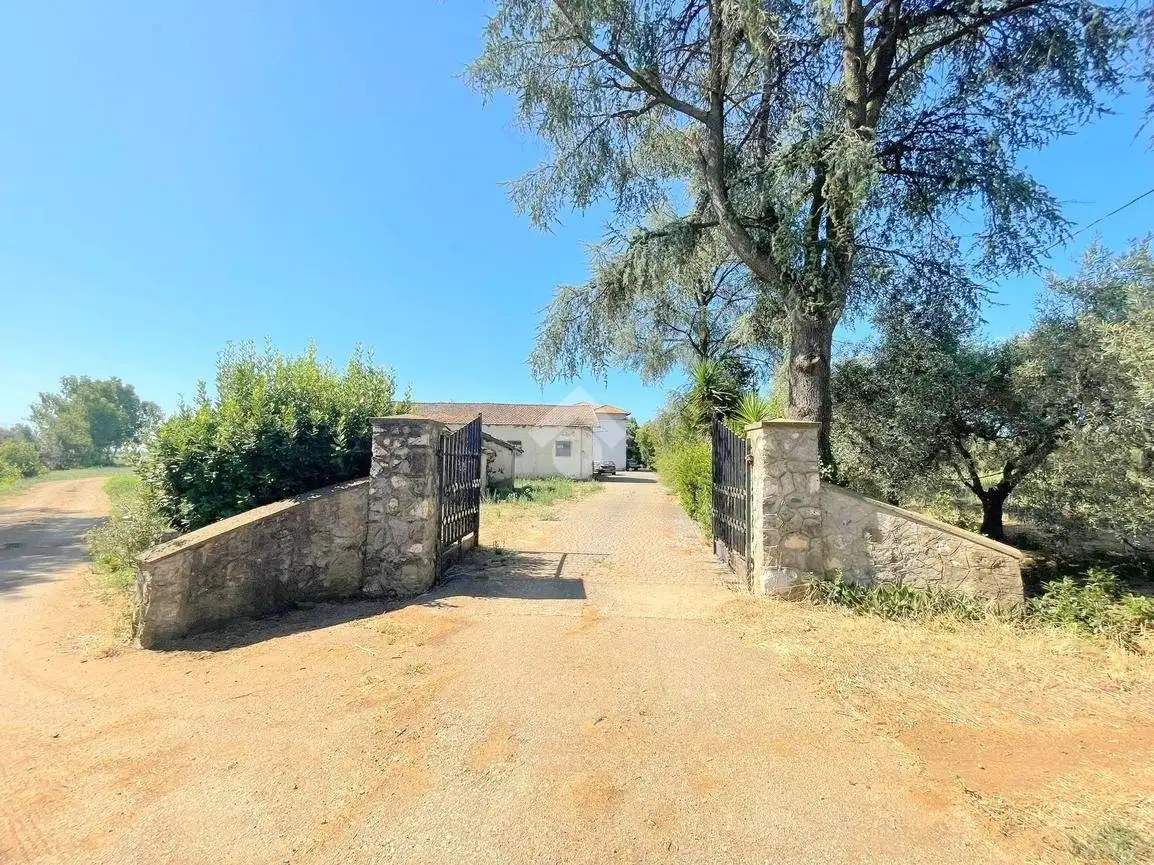 Villa in affitto a Velletri