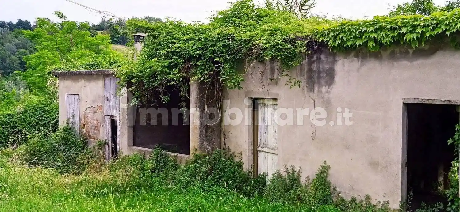 Rustico - Casale - foto 5