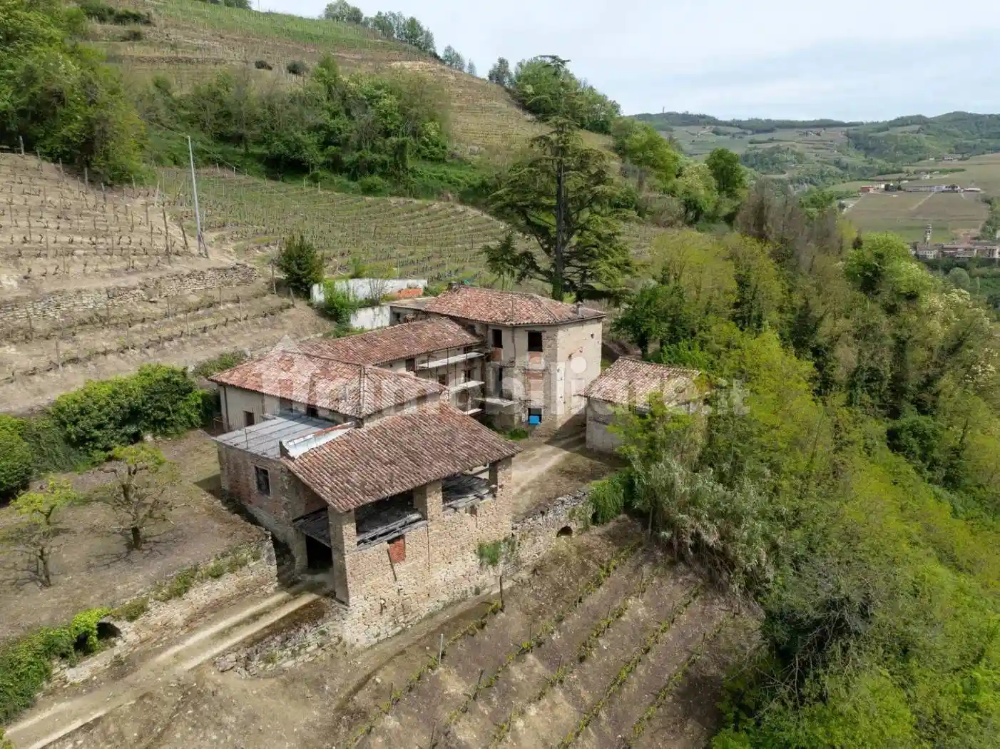 Cascina La Rovere, Cossano Belbo - foto 5