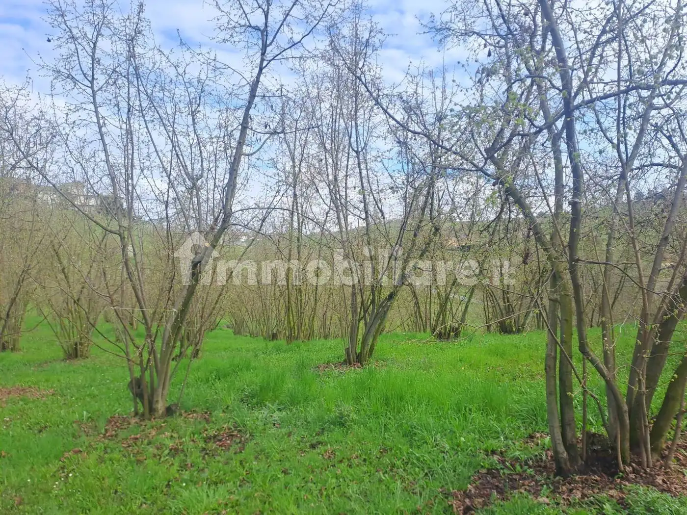 Villa unifamiliare Strada Crevacuore, Calosso - foto 5