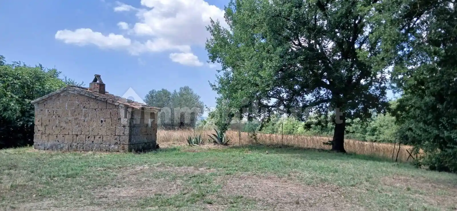 Casale Strada di Valle Spera, Pitigliano - foto 3