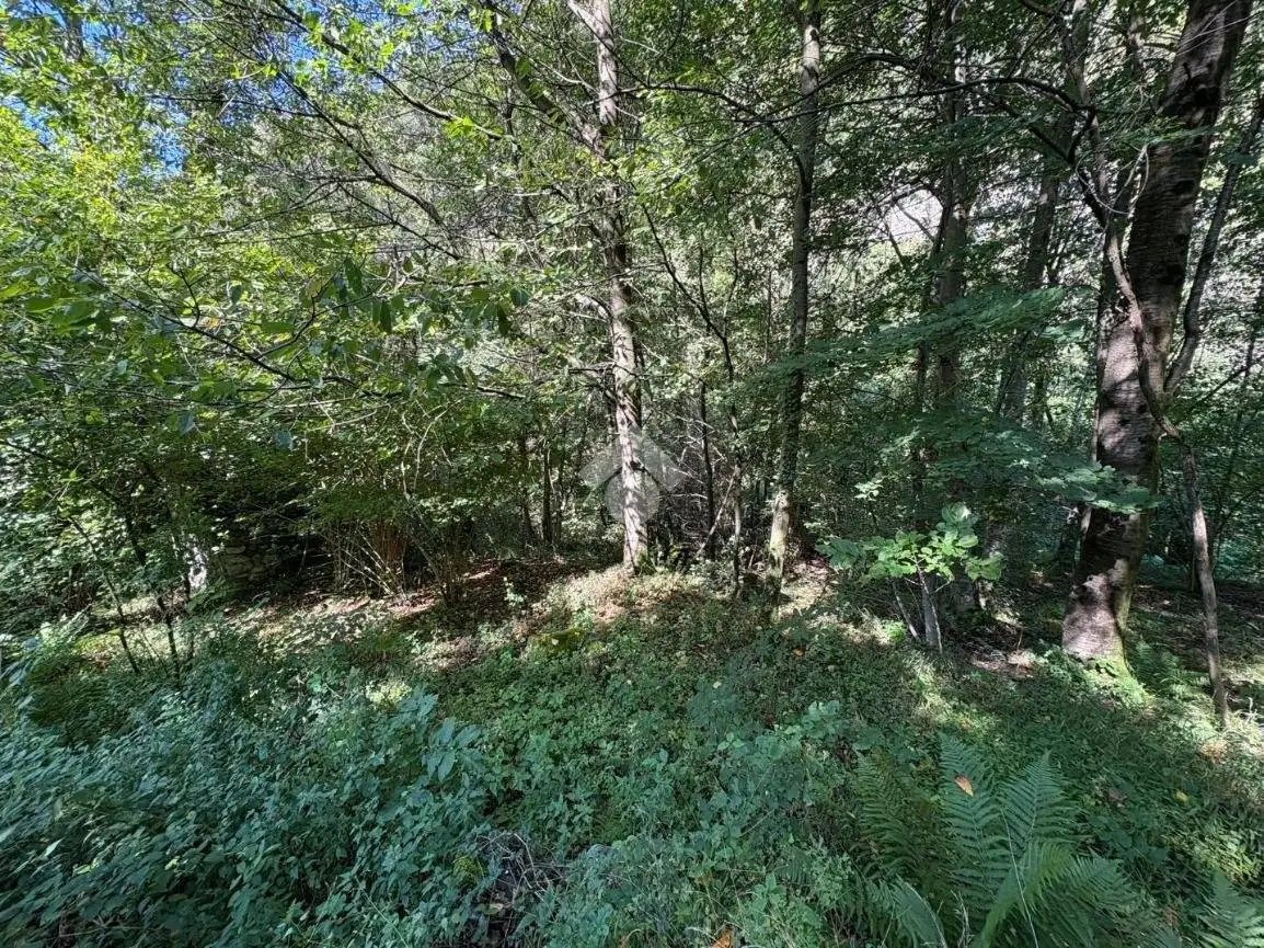 Rustico - Casale in vendita a Dazio