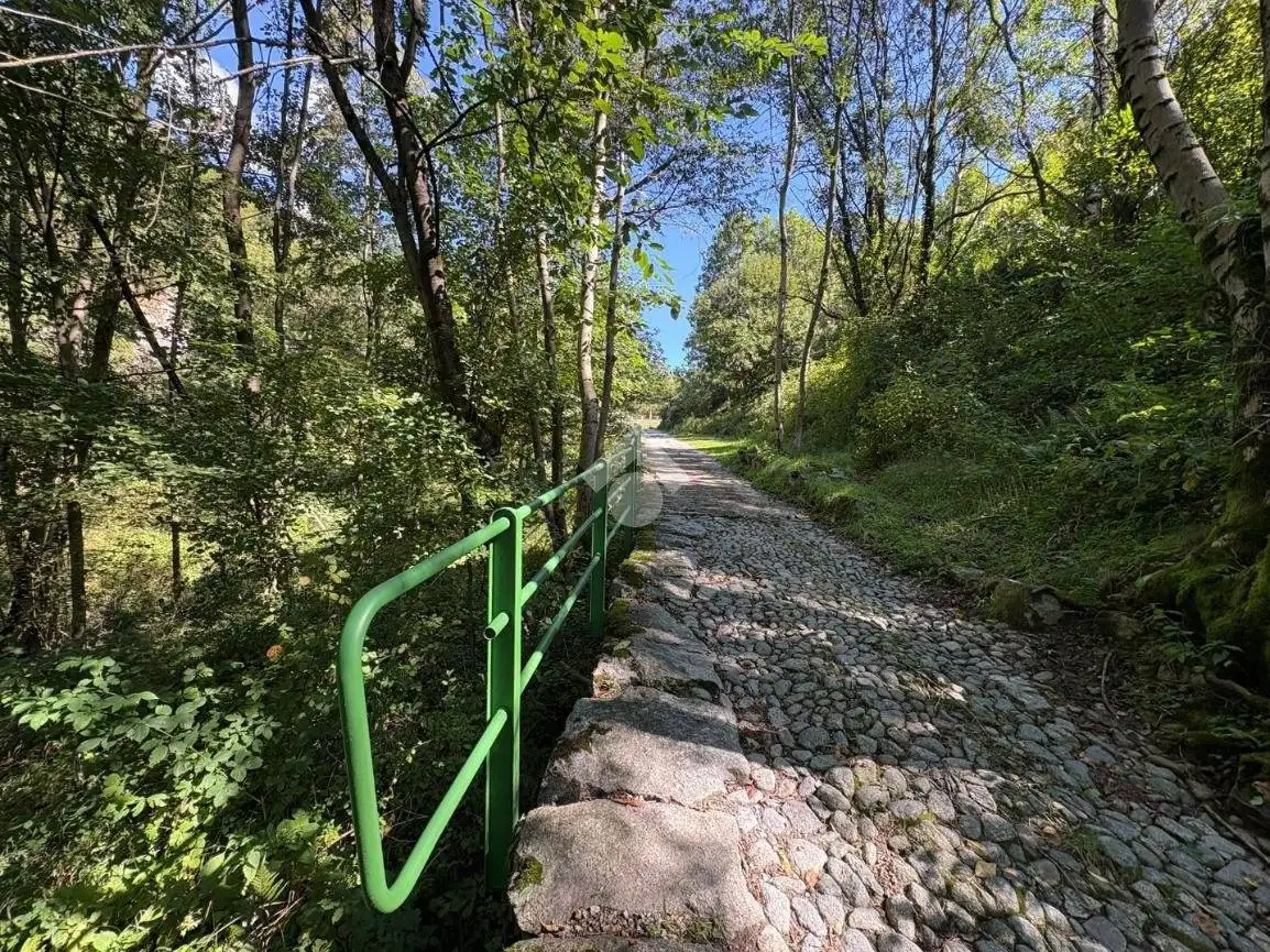 Rustico Torchi bianchi, Dazio - foto 3