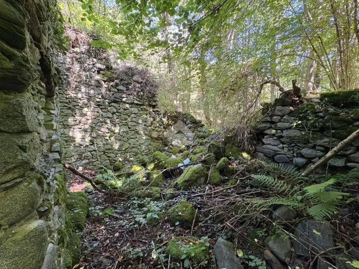 Rustico Torchi bianchi, Dazio - foto 4