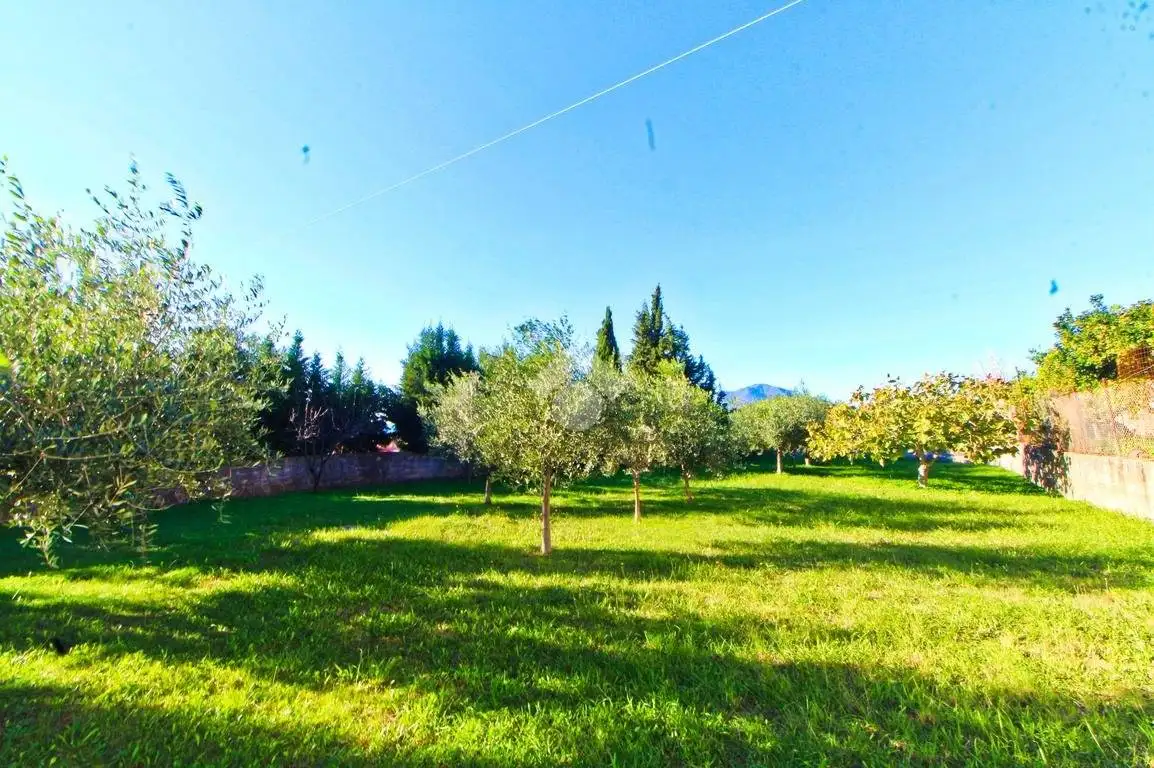 Appartamento in vendita a Ascea