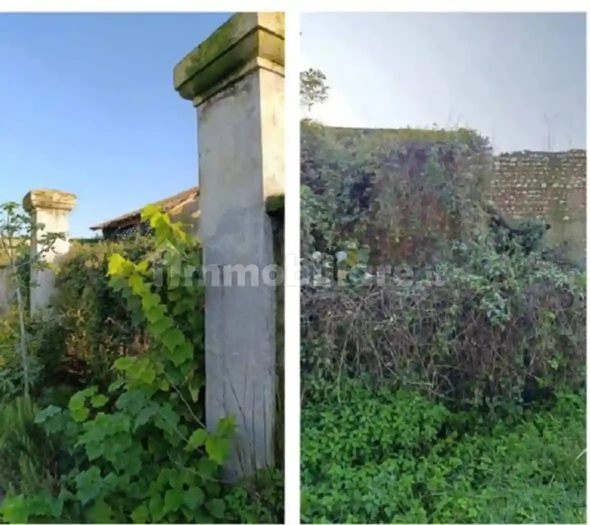 Palazzo - Stabile - foto 3