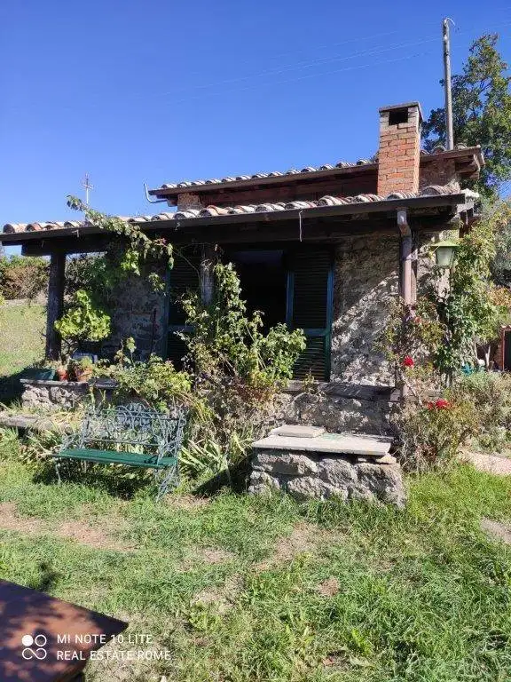 Rustico - Casale in affitto a Grottaferrata