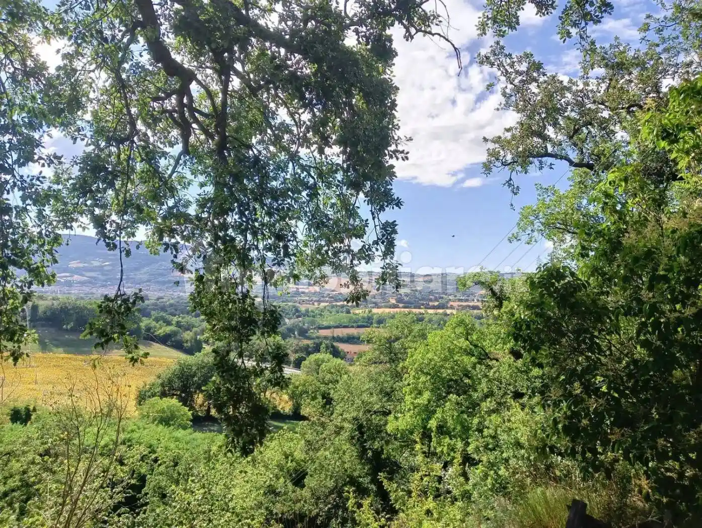 Villa in vendita a Fossombrone