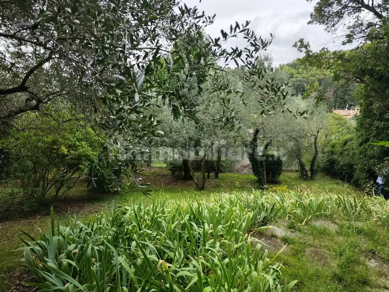 Appartamento via Della Pastorella, Settignano, Firenze - foto 4