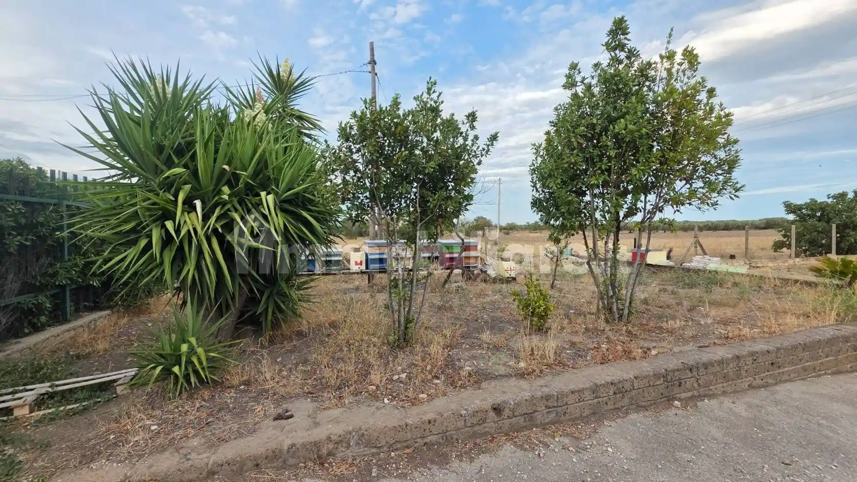 Villa unifamiliare via Castelluccio dei Sauri, Montecalvello - Segezia, Foggia - foto 3