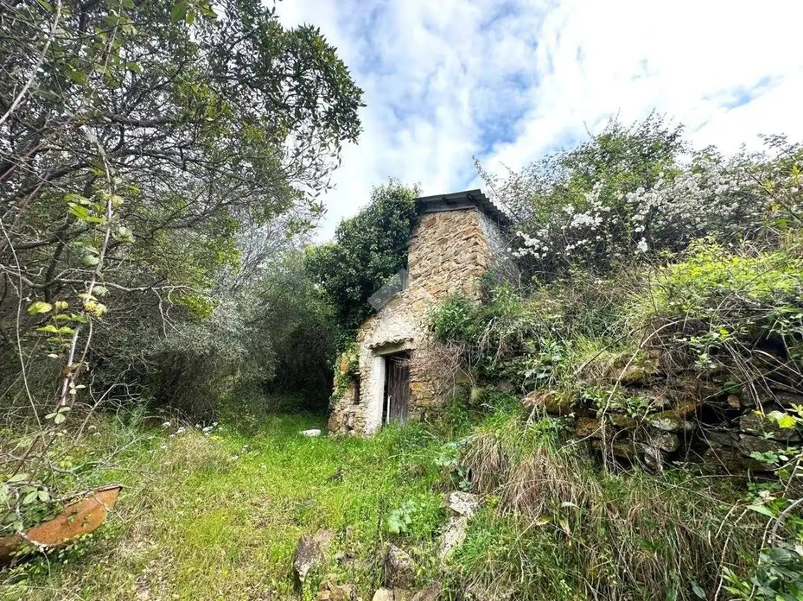 Rustico - Casale in vendita a Vallebona