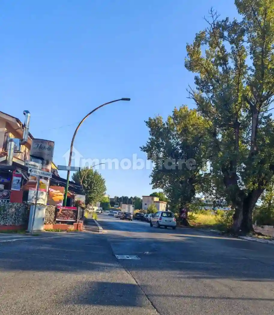 Palazzo - Edificio - foto 4