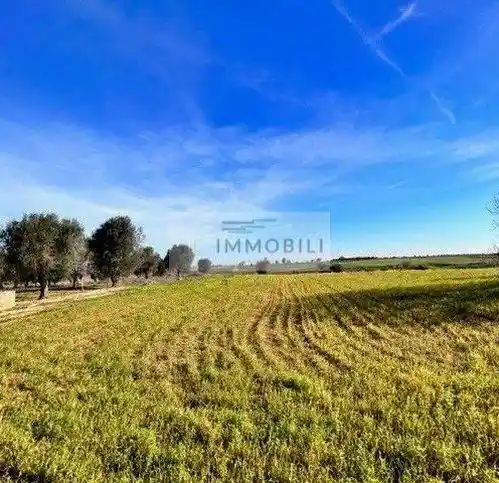 Rustico - Casale in vendita a Carovigno