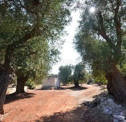 Rustico - Casale in vendita a Carovigno