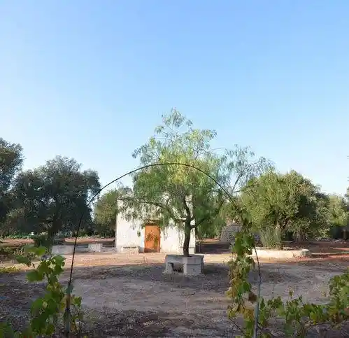 Rustico - Casale in vendita a Carovigno