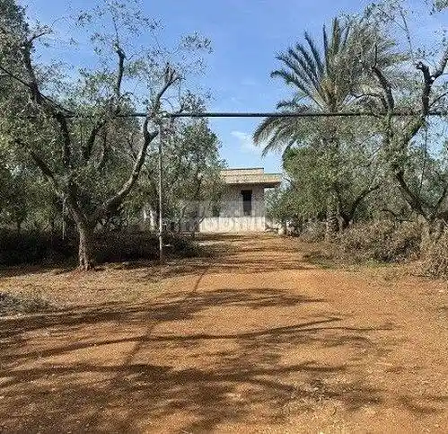 Rustico - Casale in vendita a Carovigno