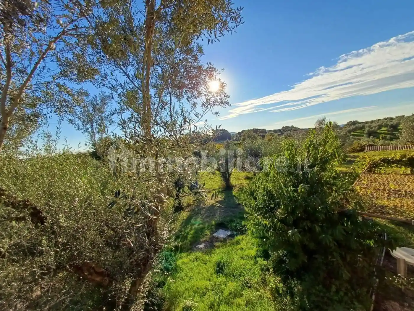 Rustico Strada Vicinale Casella, Farnese - foto 4