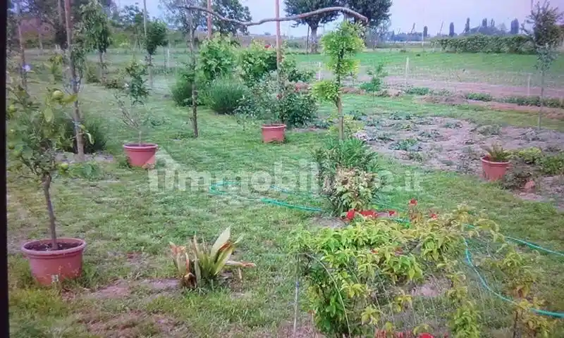 Terratetto unifamiliare Prà d'Este, Prà, Este - foto 2