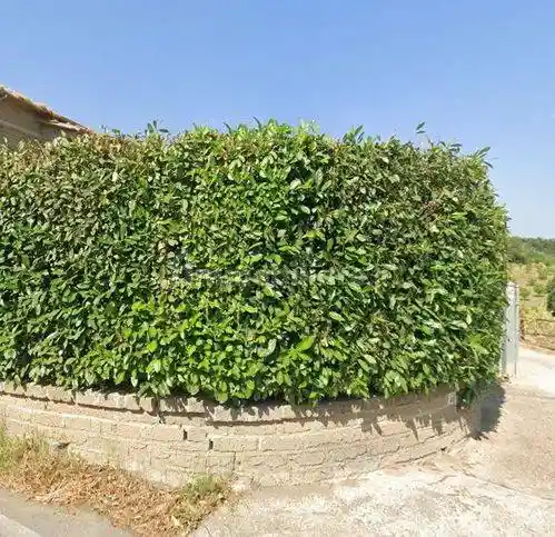 Appartamento in vendita a Formello