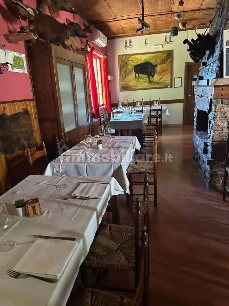 Villa in vendita a Sassetta