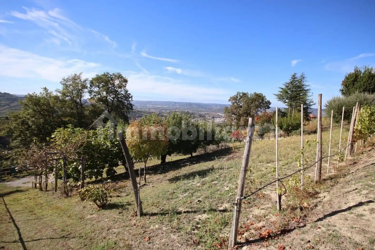 Villa unifamiliare frazione Como, Località Serre, Madonna di Como, Alba - foto 3
