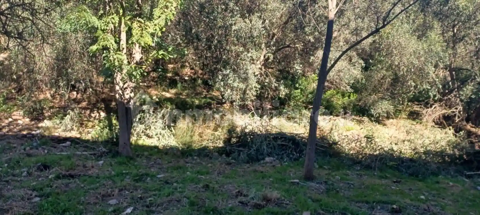 Appartamento in vendita a Monte Argentario