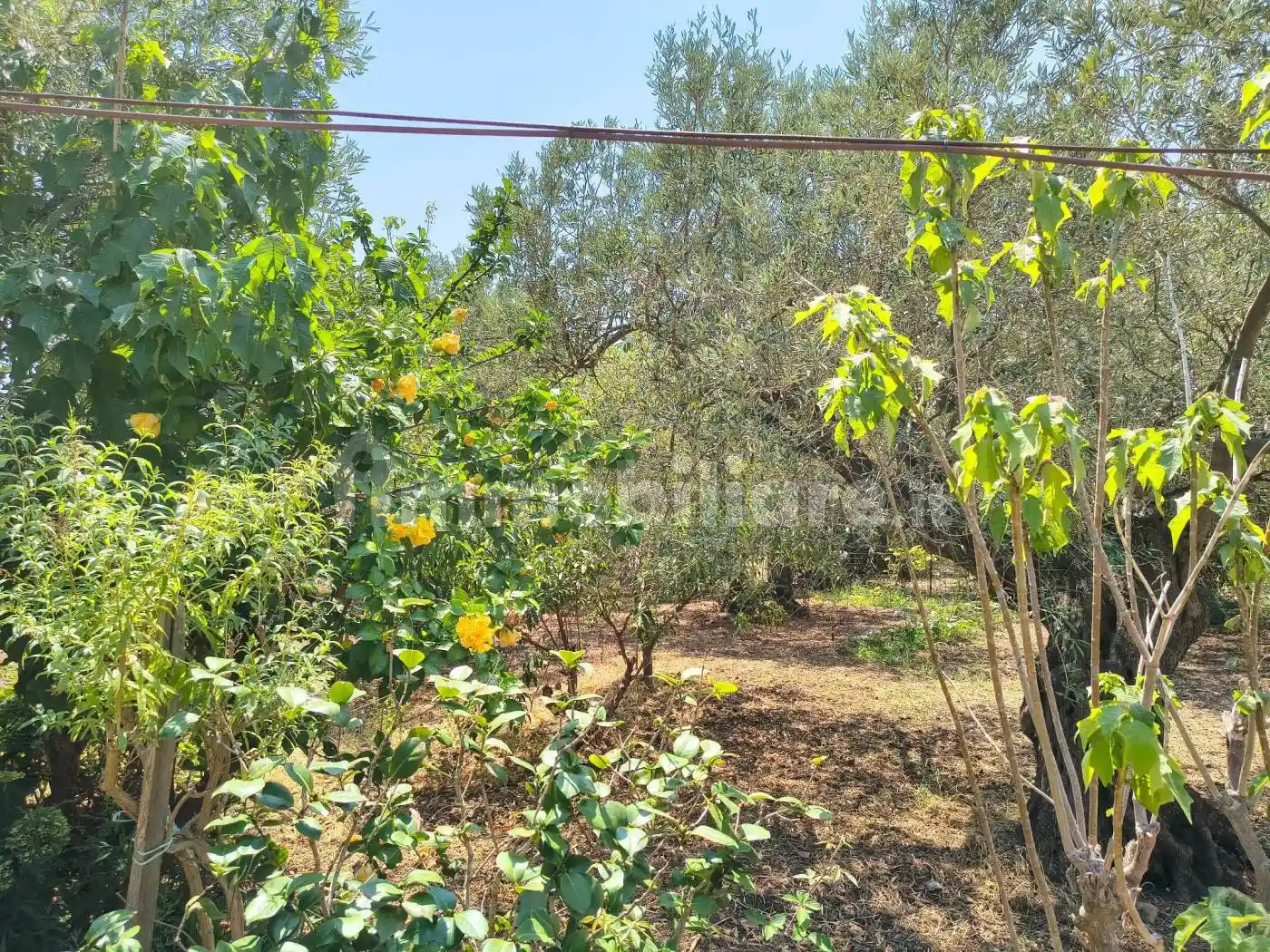 Terratetto unifamiliare Strada Statale Rodia, Ortoliuzzo - San Saba, Messina - foto 2