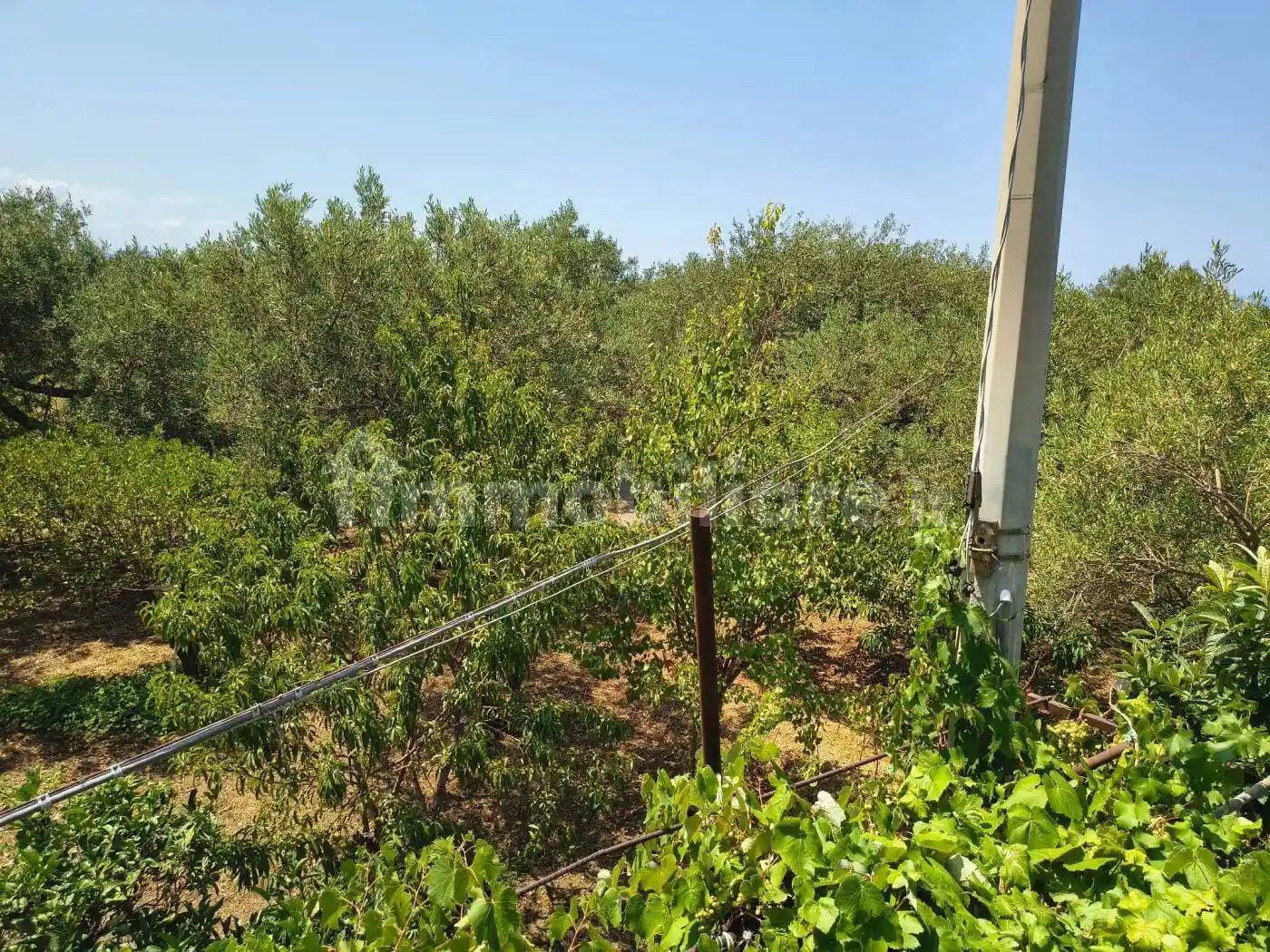 Terratetto unifamiliare Strada Statale Rodia, Ortoliuzzo - San Saba, Messina - foto 4