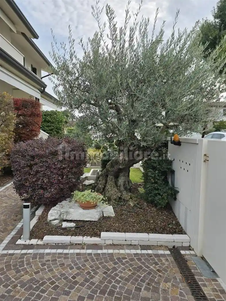 Villa in vendita a Zero Branco