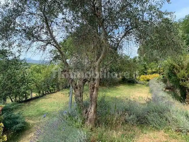 Rustico, da ristrutturare, 450 m², Agostoli - Montalbuccio, Siena - foto 2