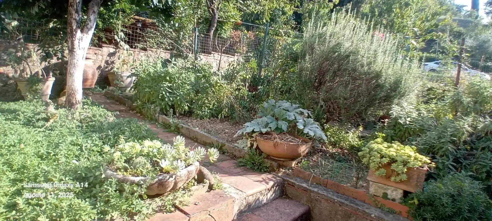 Casa indipendente in vendita a Greve in Chianti