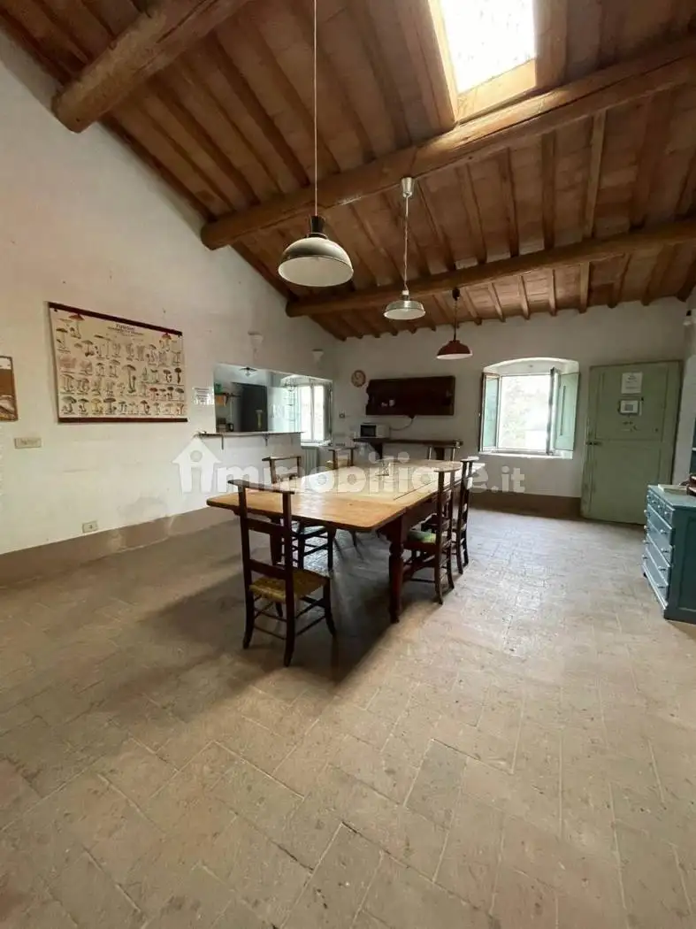 Appartamento buono stato, Semicentro, Zona Stadio, Certaldo - foto 4