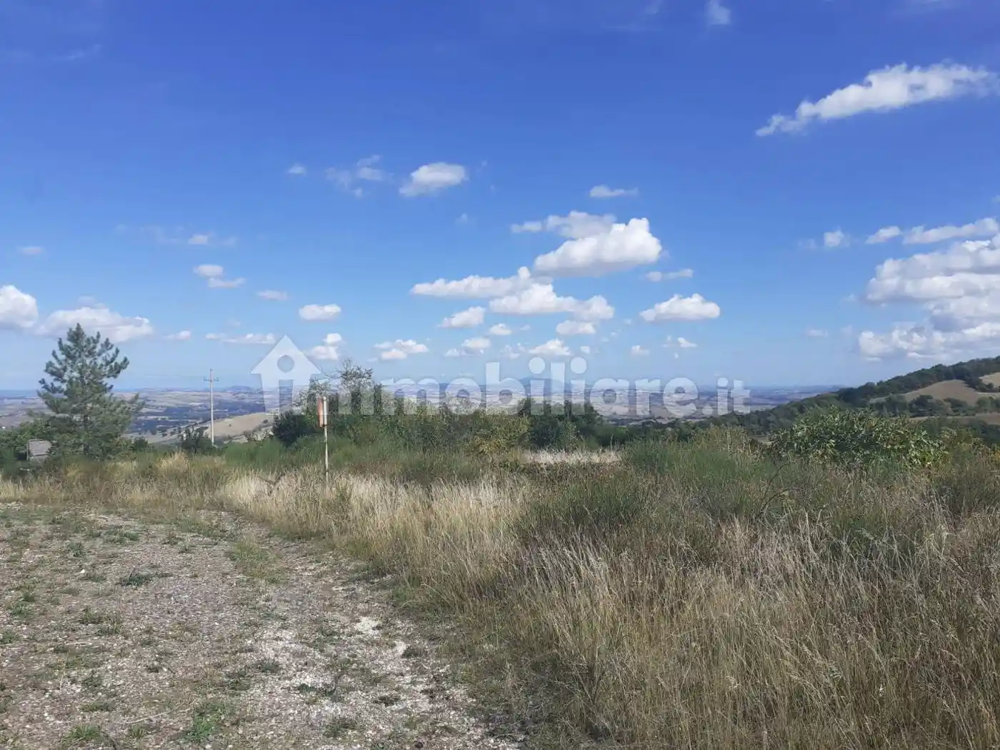 Rustico - Casale in vendita a Cingoli