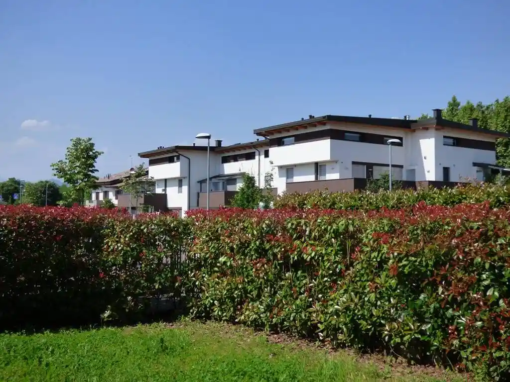 Trilocale Circonvallazione Leuceriano, Canovine, Bergamo - foto 3