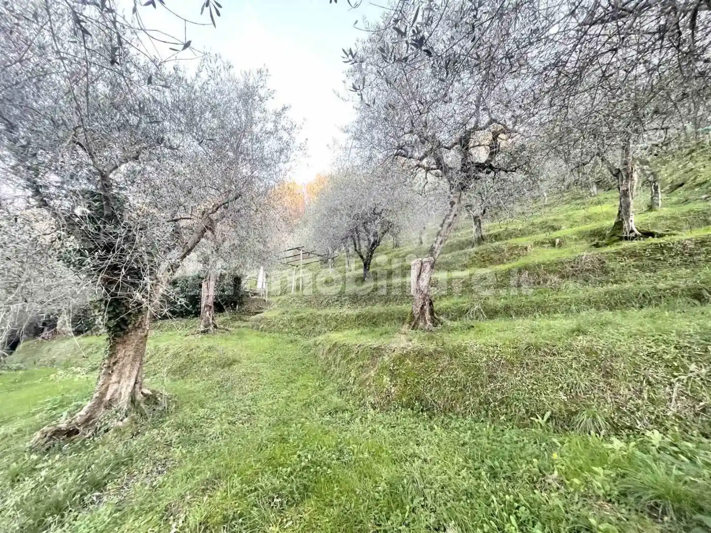 Rustico, ottimo stato, 20 m², Pieve a Elici, Montigiano, Gualdo, Massarosa - foto 4