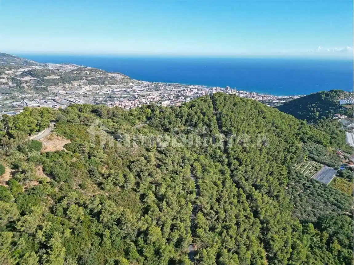 Villa unifamiliare, ottimo stato, 450 m², Bussana, Sanremo - foto 2