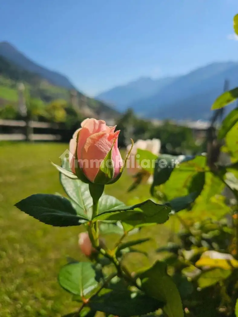 Trilocale ottimo stato, primo piano, Centro, Bormio - foto 4