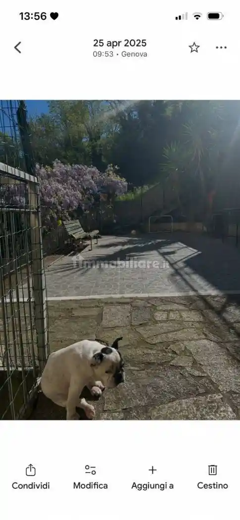 Appartamento in vendita a Genova