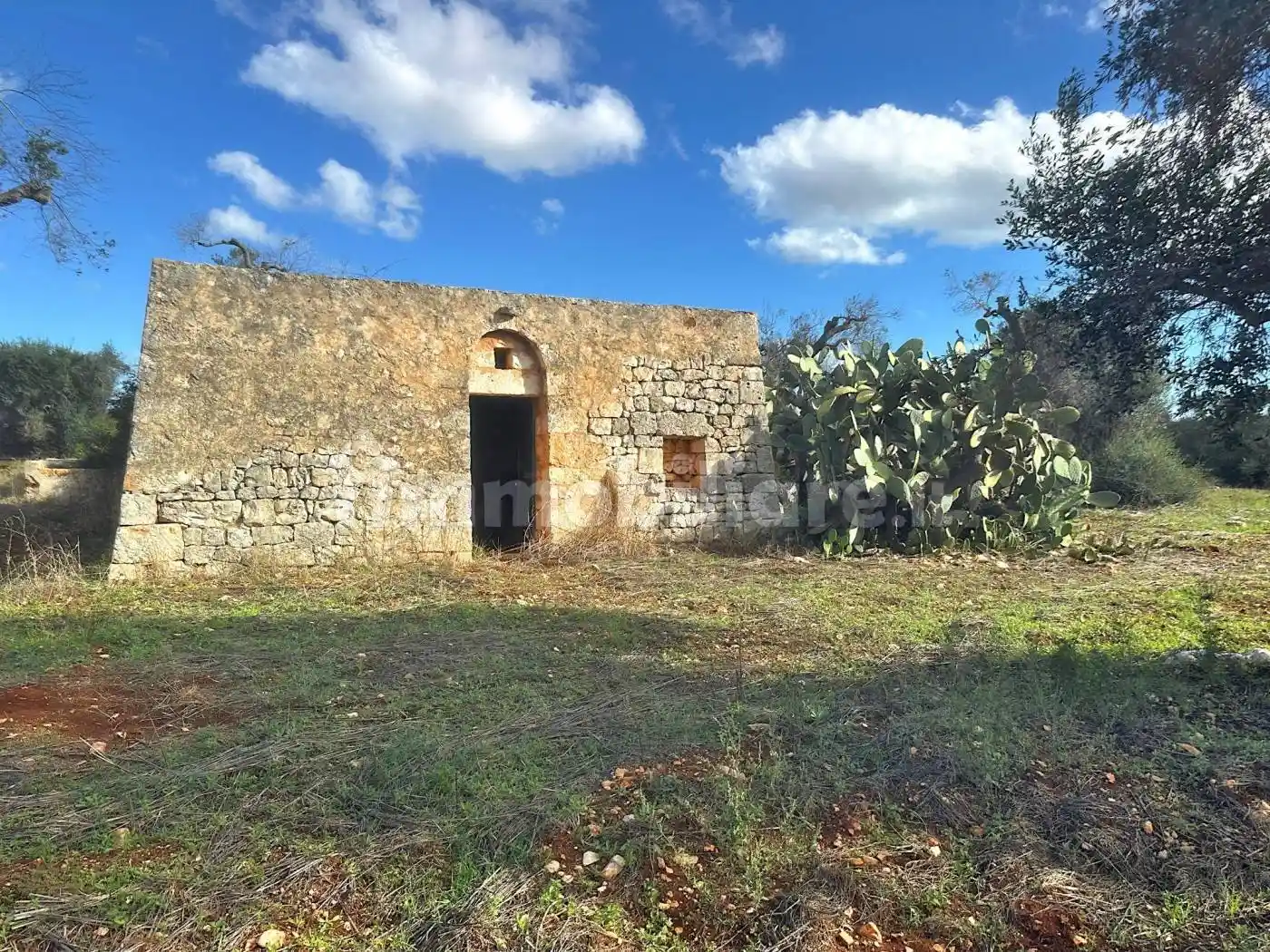 Rustico - Casale in vendita a Carovigno
