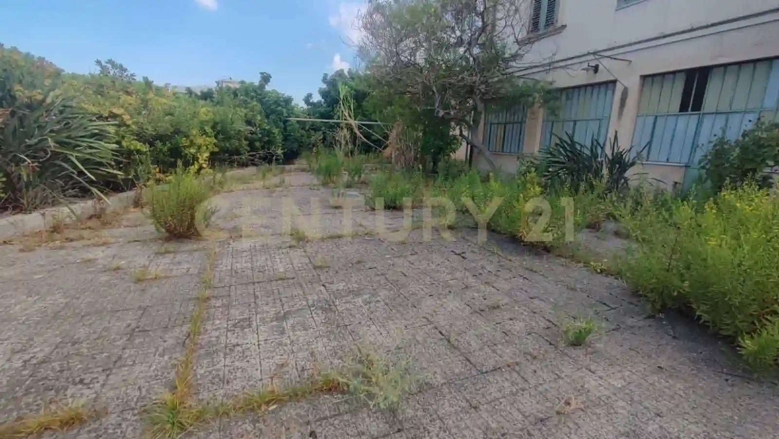 Palazzo - Edificio - foto 3