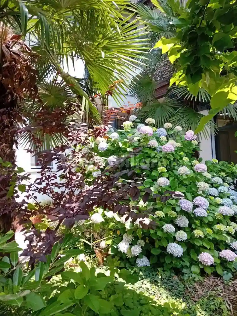 Bilocale via Sacro Monte 10, Ospedale, Busto Arsizio - foto 4