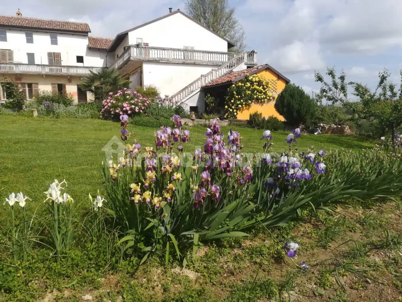 Rustico - Casale in vendita a Castagnole Monferrato
