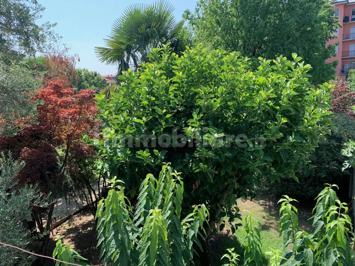 Villa unifamiliare via 20 Settembre, Centro, Belgioioso - foto 2