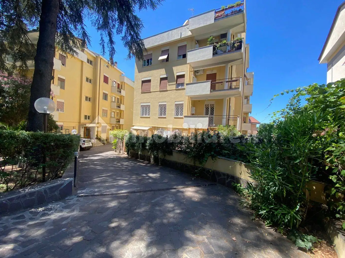 Appartamento in affitto a Grottaferrata