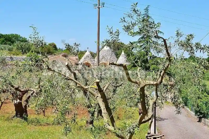 Rustico - Casale - foto 4