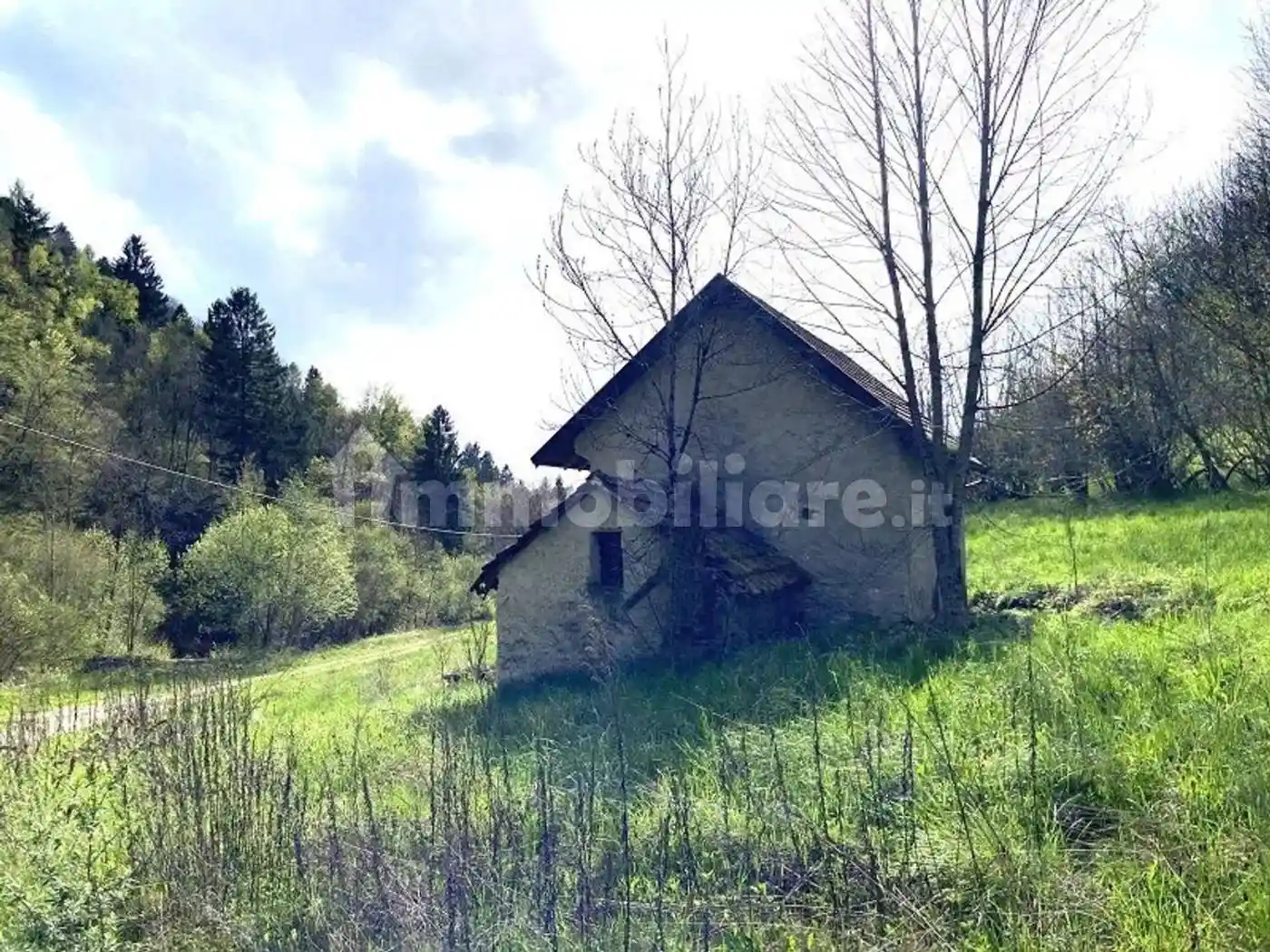 Cascina via Funesia No Number, Chies d'Alpago - foto 3